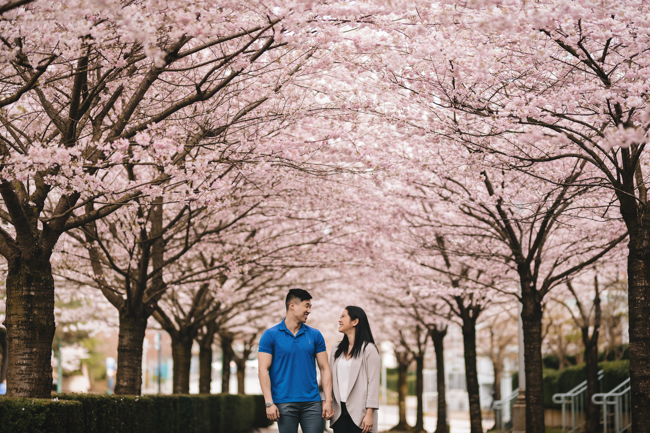 cherry blossom engagement photography north burnaby bc