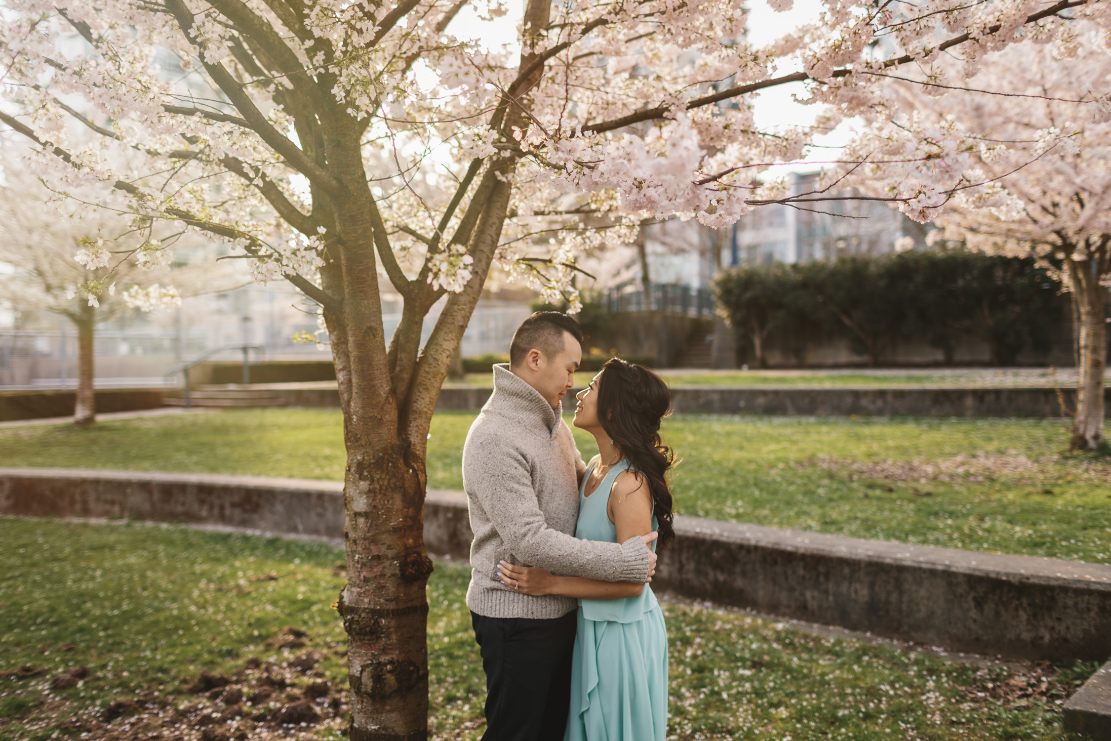 vancouver cherry blossom engagement photography in yaletown david lam park