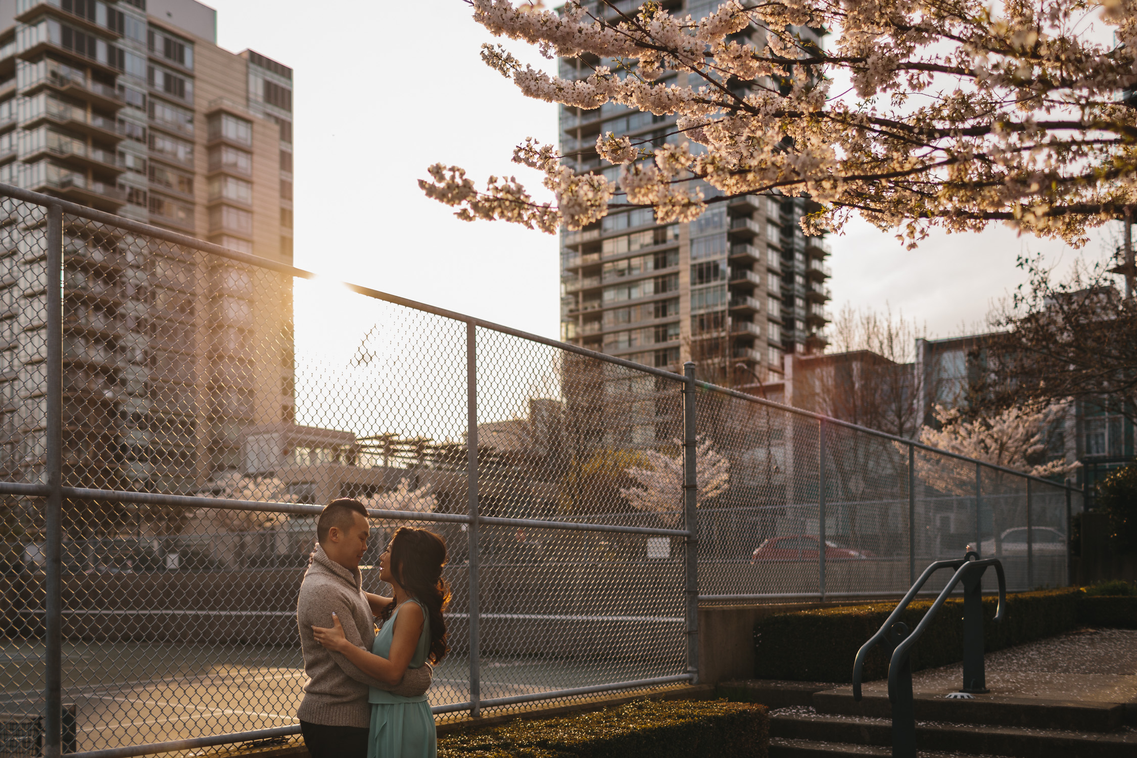 vancouver engagement photography cherry blossoms in yaletown david lam park