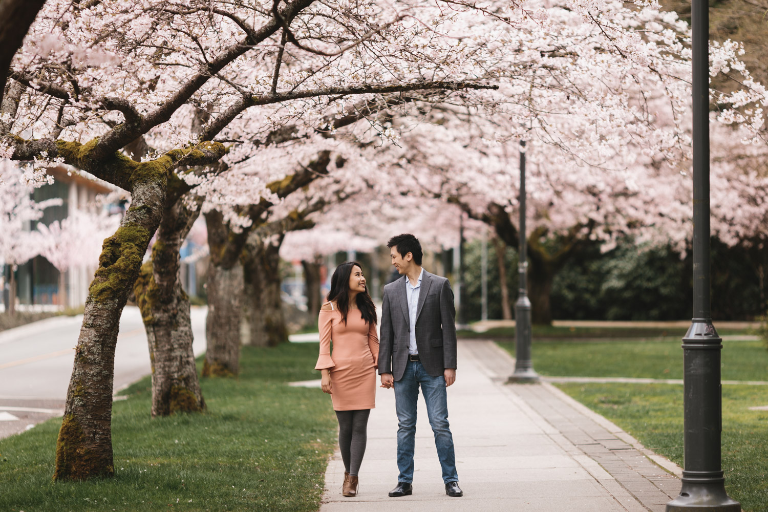 vancouver cherry blossom engagement photography at ubc