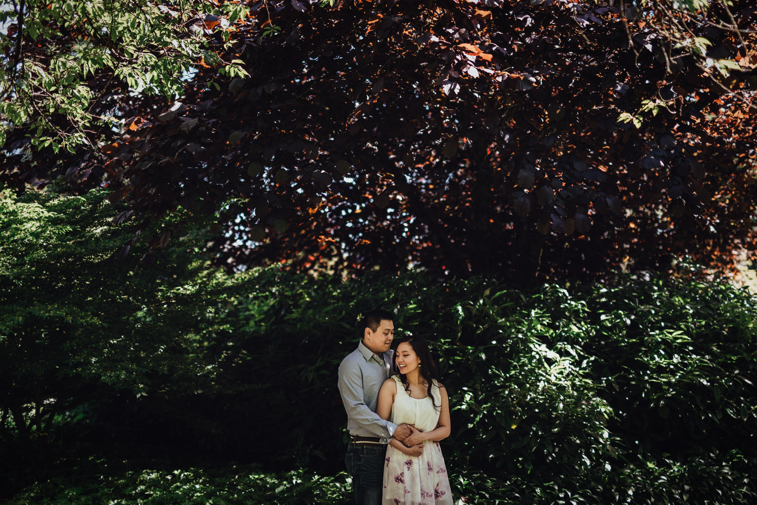 vancouver engagement photography at stanley park in rose garden
