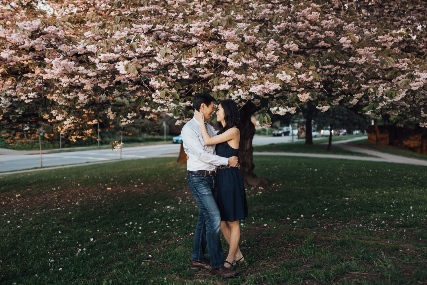 sunset beach engagement photography vancouver bc cherry blossom