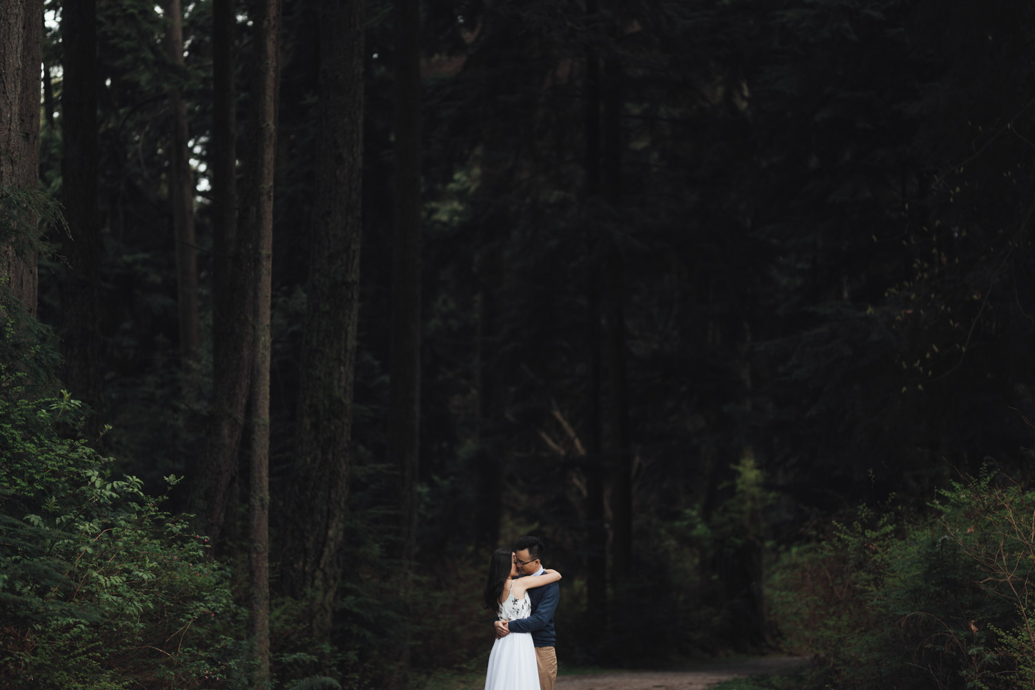 stanley park forest engagement photography vancouver bc