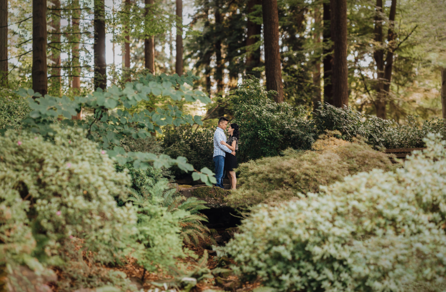 stanley park summer engagement rose garden vancouver bc photography