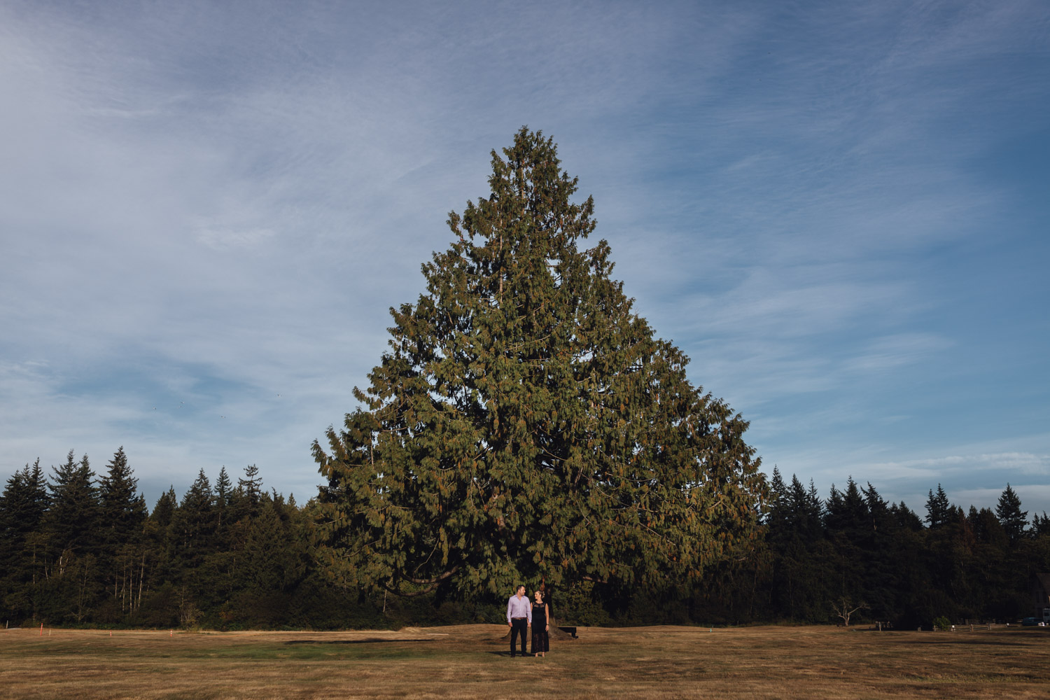 Campbell Valley Park Engagement Photography in Langley, BC | Michelle & Greg