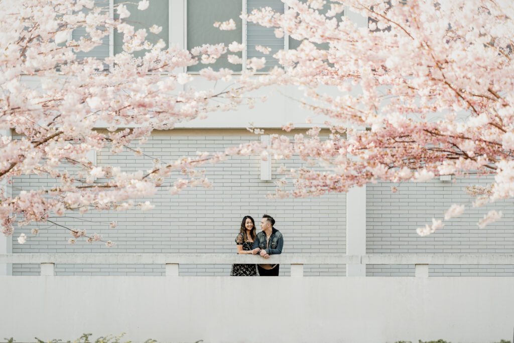 Cherry blossom engagement photography session at UBC in Vancouver.