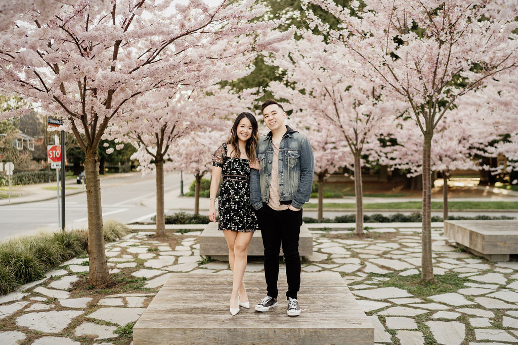 UBC cherry blossoms in Vancouver, BC